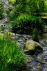 成田山公園（写真：椎名修）